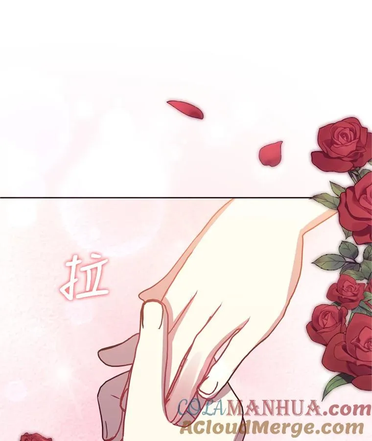 25.阿尔森堡公王 第105页