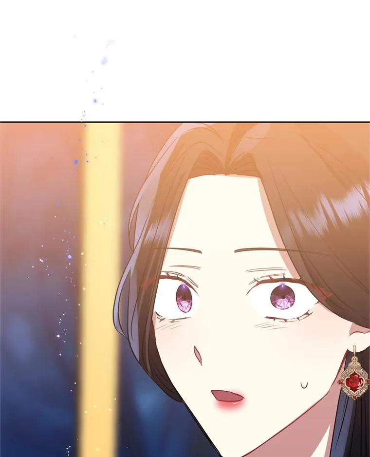 25.阿尔森堡公王 第115页