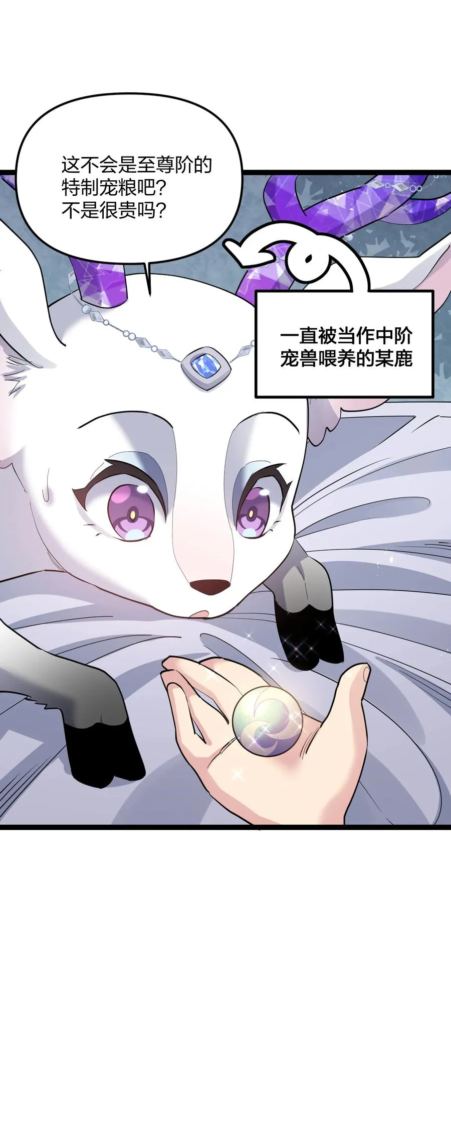 13 月之王，你的阴谋被我识破了！ 第11页