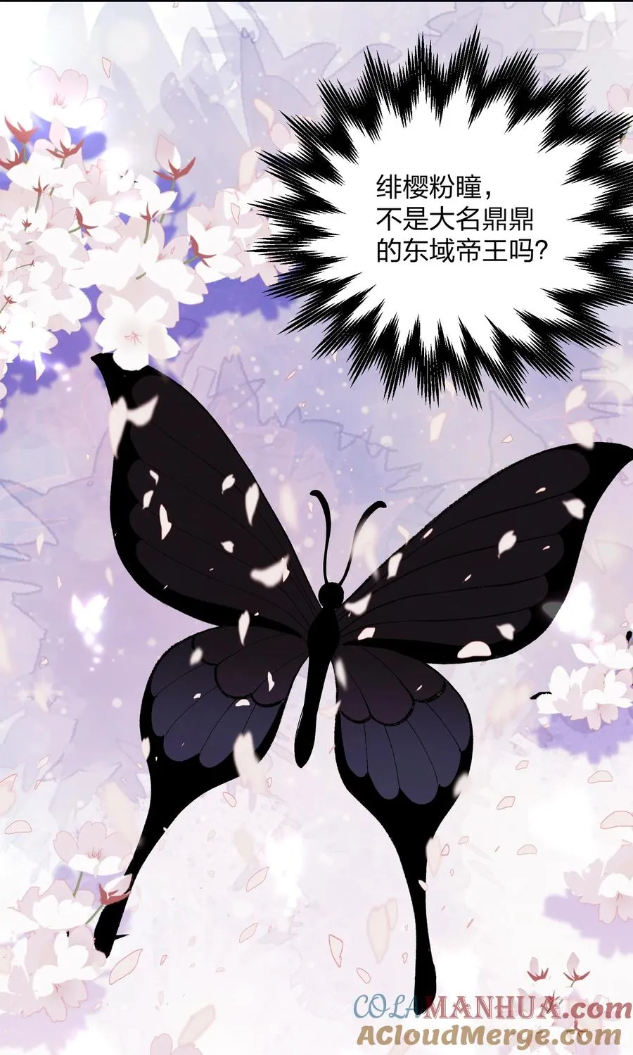 27 宠兽食量大挑战？！ 第25页