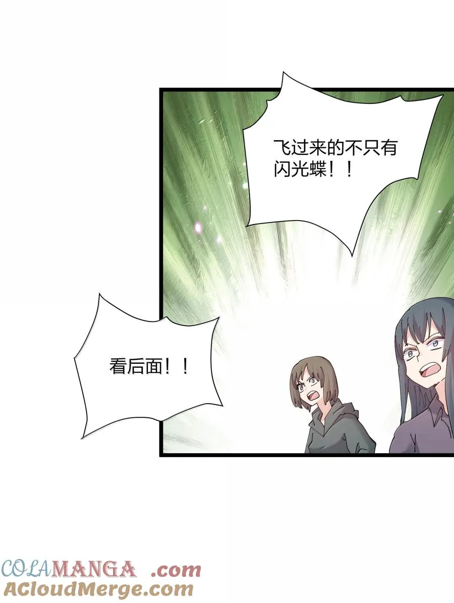 81 奇迹再现 第7页