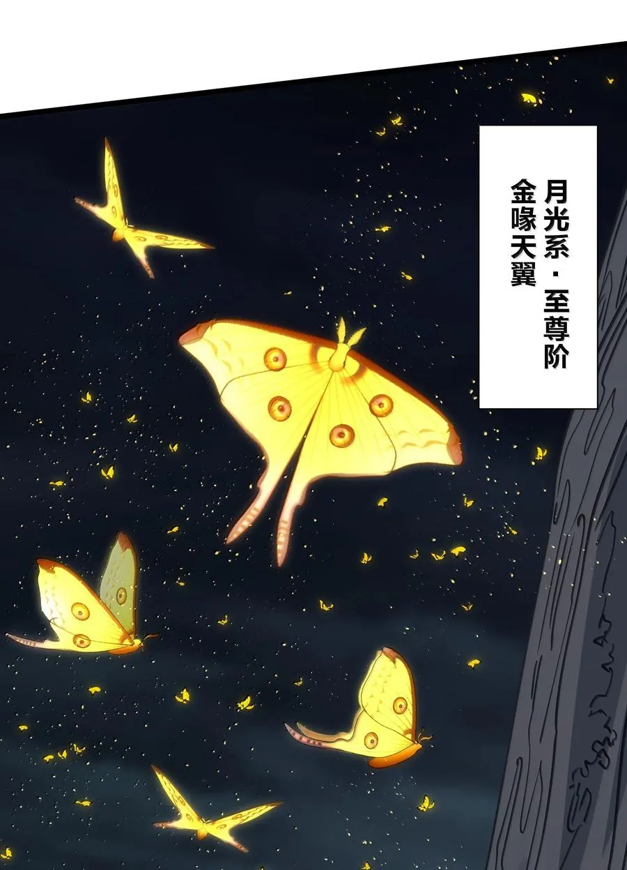 81 奇迹再现 第17页