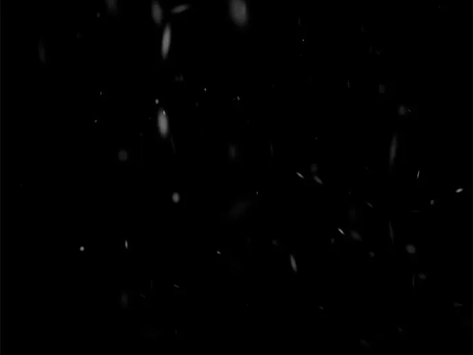 [第57话] 童话中的王子殿下 第44页