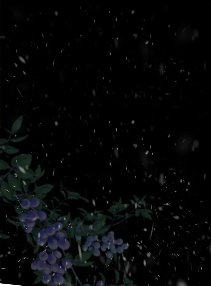 [第57话] 童话中的王子殿下 第51页