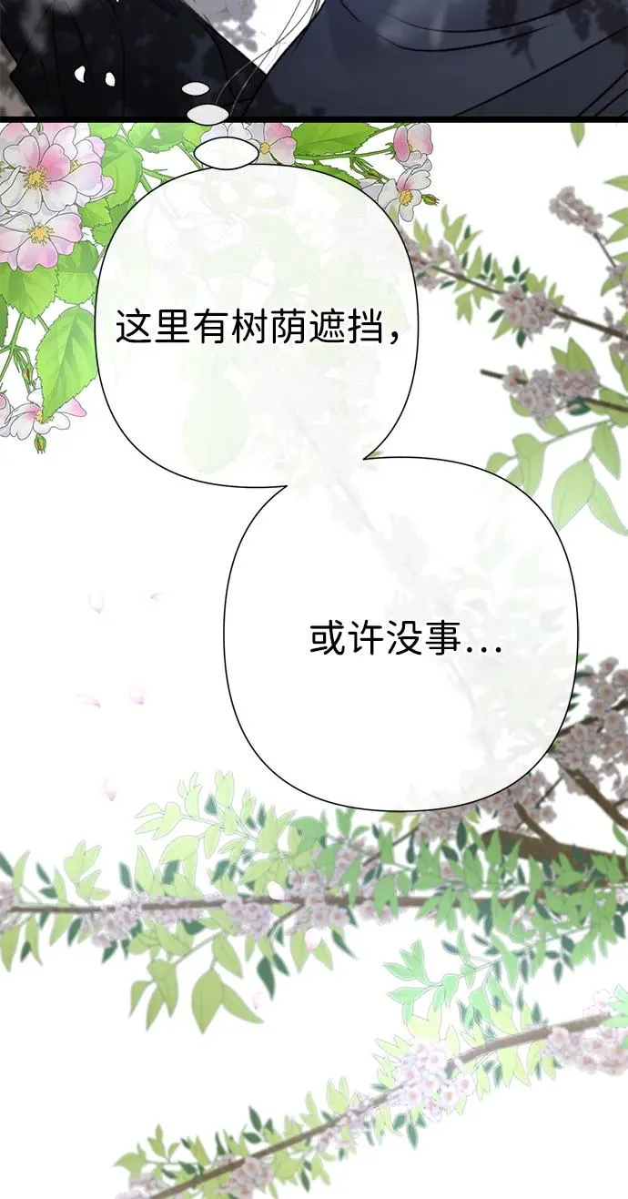 [第62话] 在花树树荫下 第51页