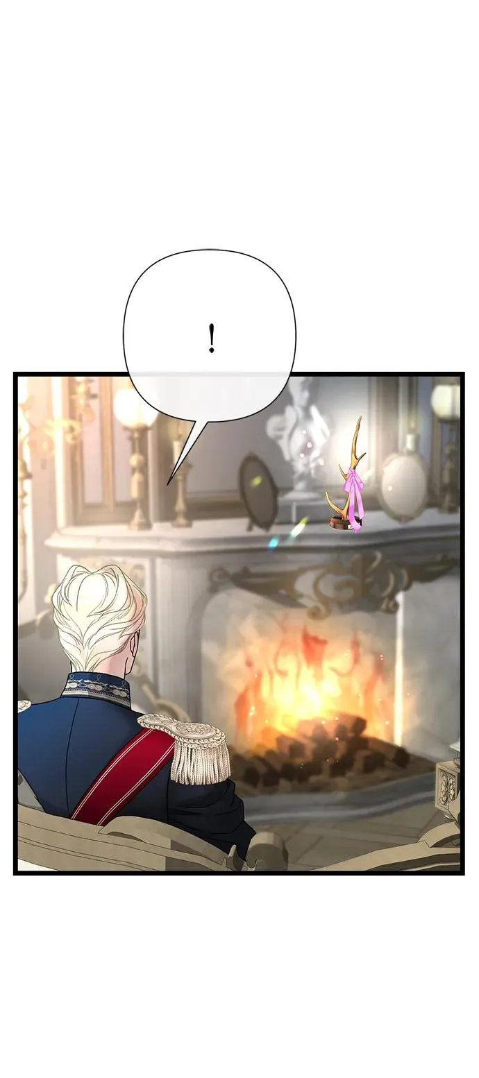 [第65话] 我喜欢那一条 第12页
