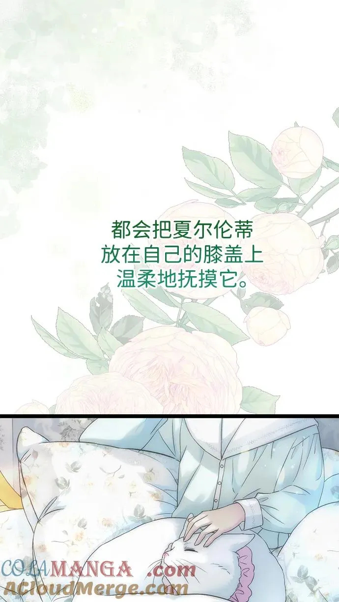 [第97话] 膝盖上的夏尔伦蒂 第117页