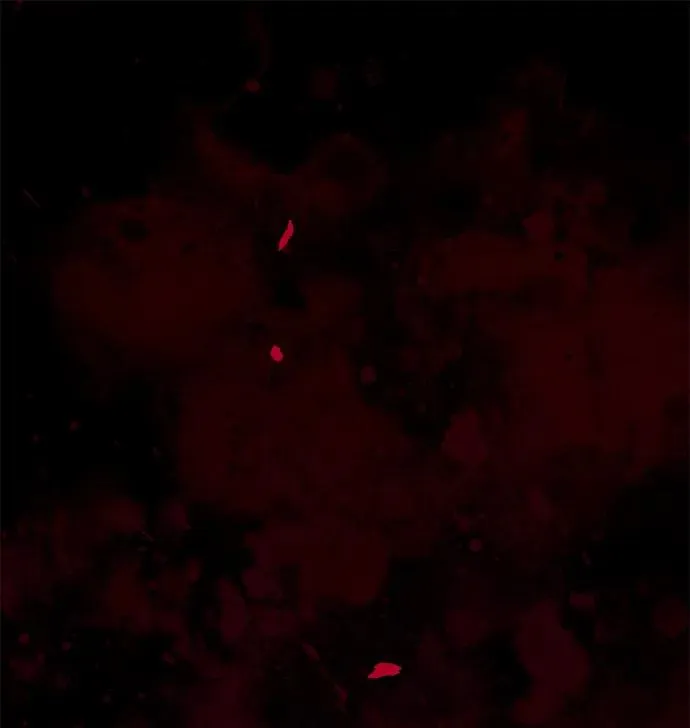 [第107话] 结尾和开始 第67页