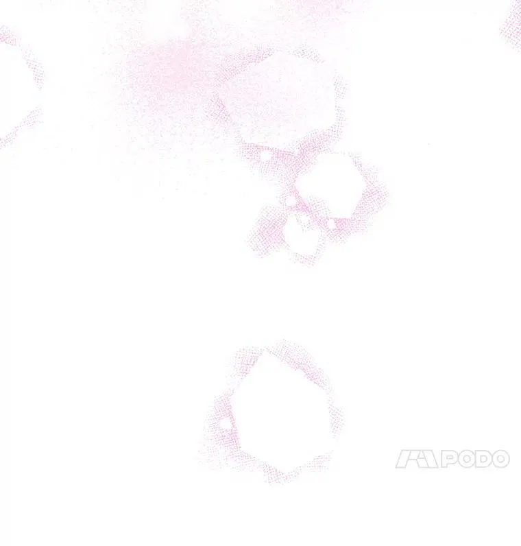 33.茶话会 第38页