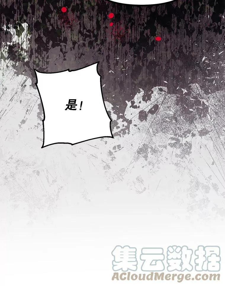 37.被赫尔塔包围 第13页