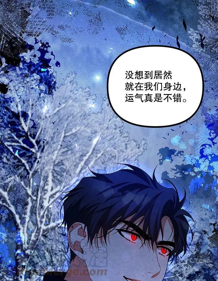 37.被赫尔塔包围 第25页