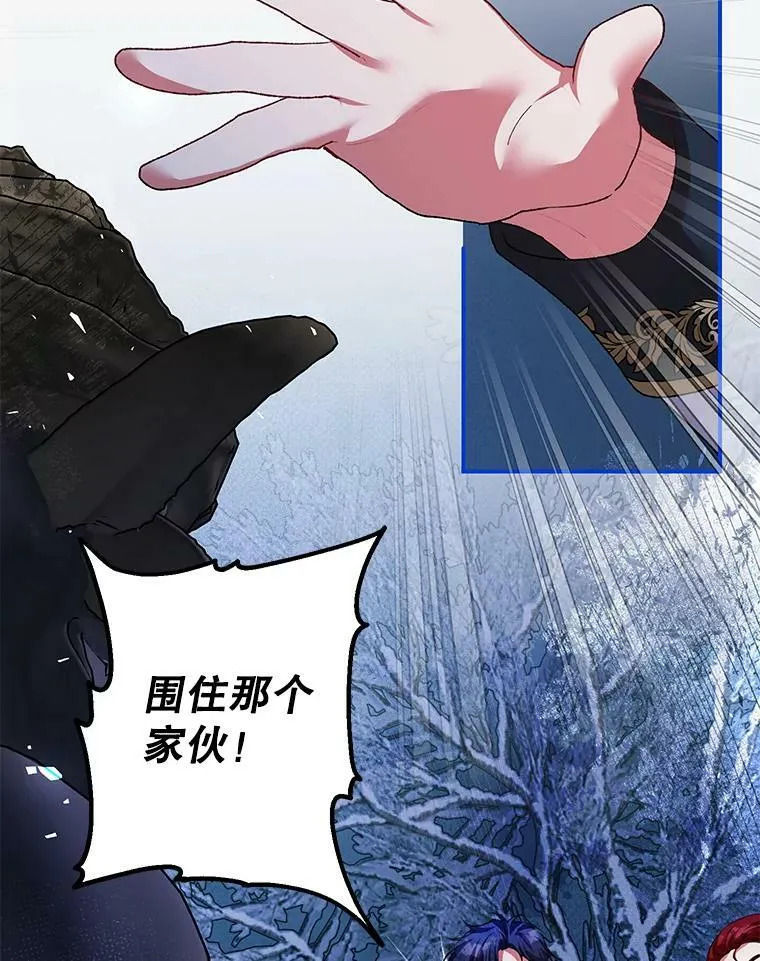 37.被赫尔塔包围 第28页