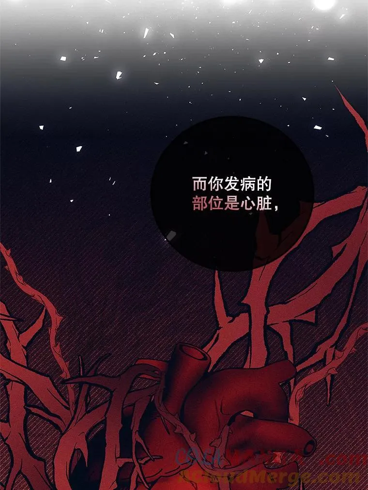 60.雪落即白 第53页