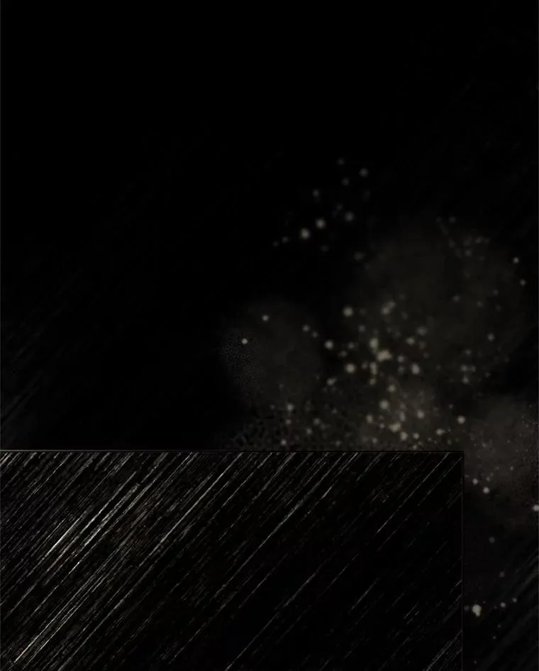 61.孤独之境 第46页