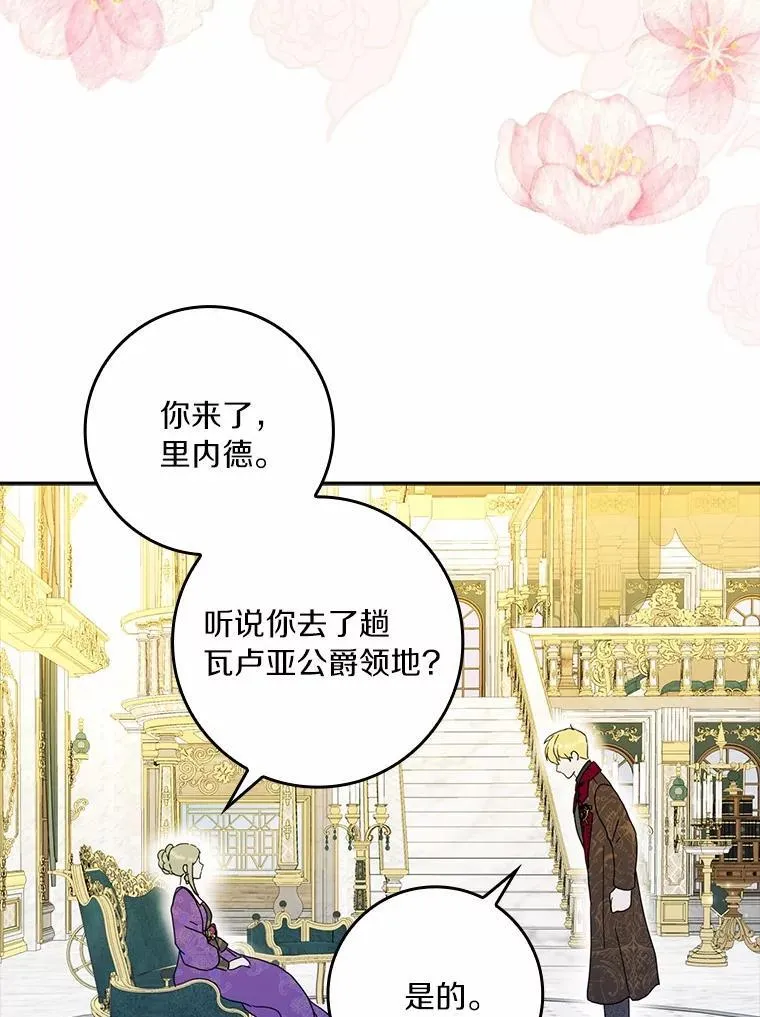 65.挑选舞会礼服 第14页
