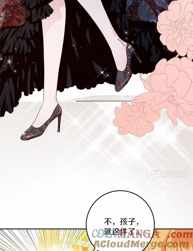 65.挑选舞会礼服 第101页