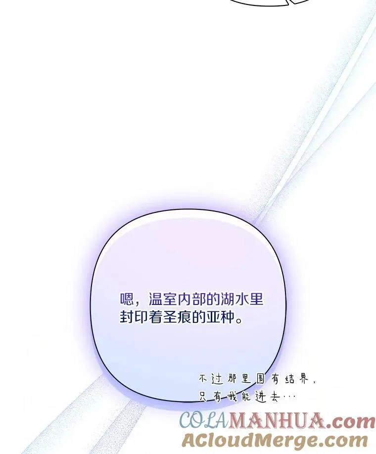 8.你又迷路了？ 第13页