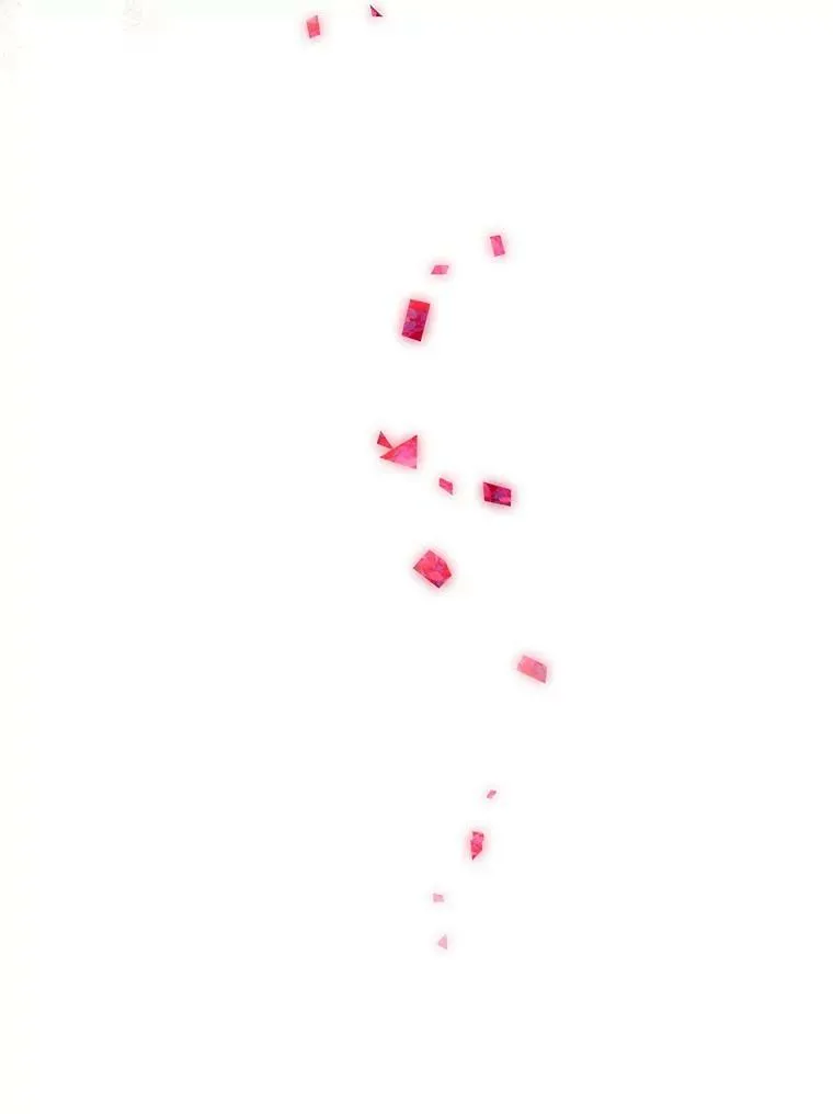 13.奇安的身份 第114页