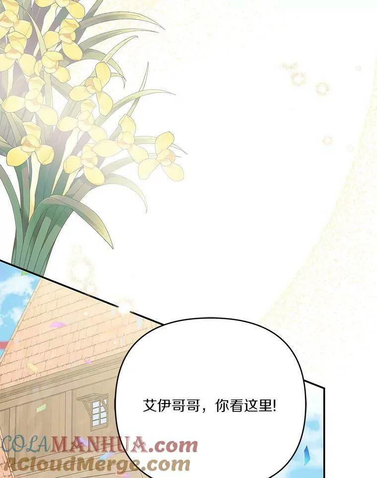 28.庇护能力 第13页
