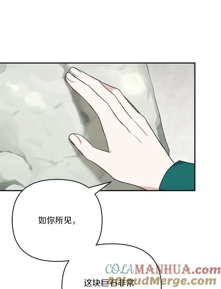28.庇护能力 第65页