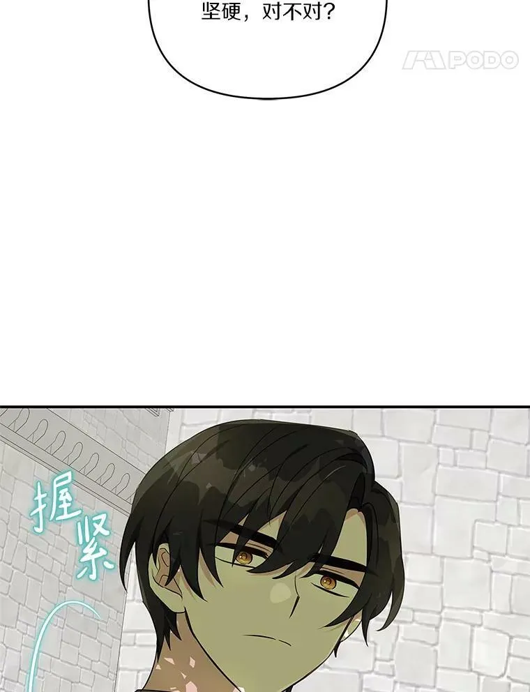 28.庇护能力 第66页