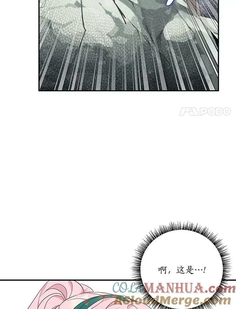 28.庇护能力 第69页