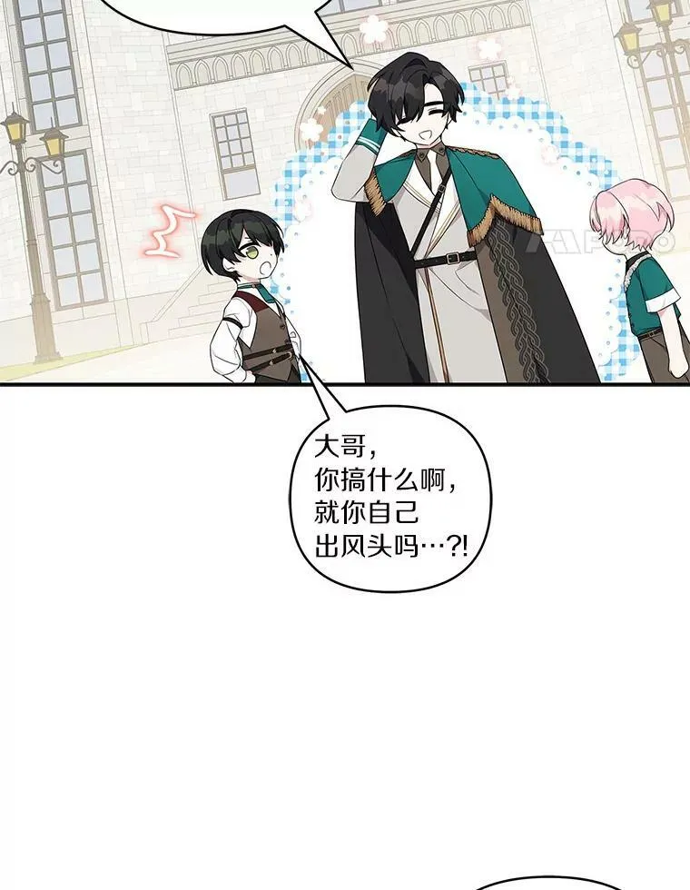 28.庇护能力 第79页