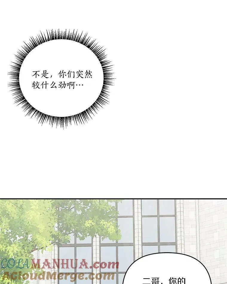 28.庇护能力 第81页