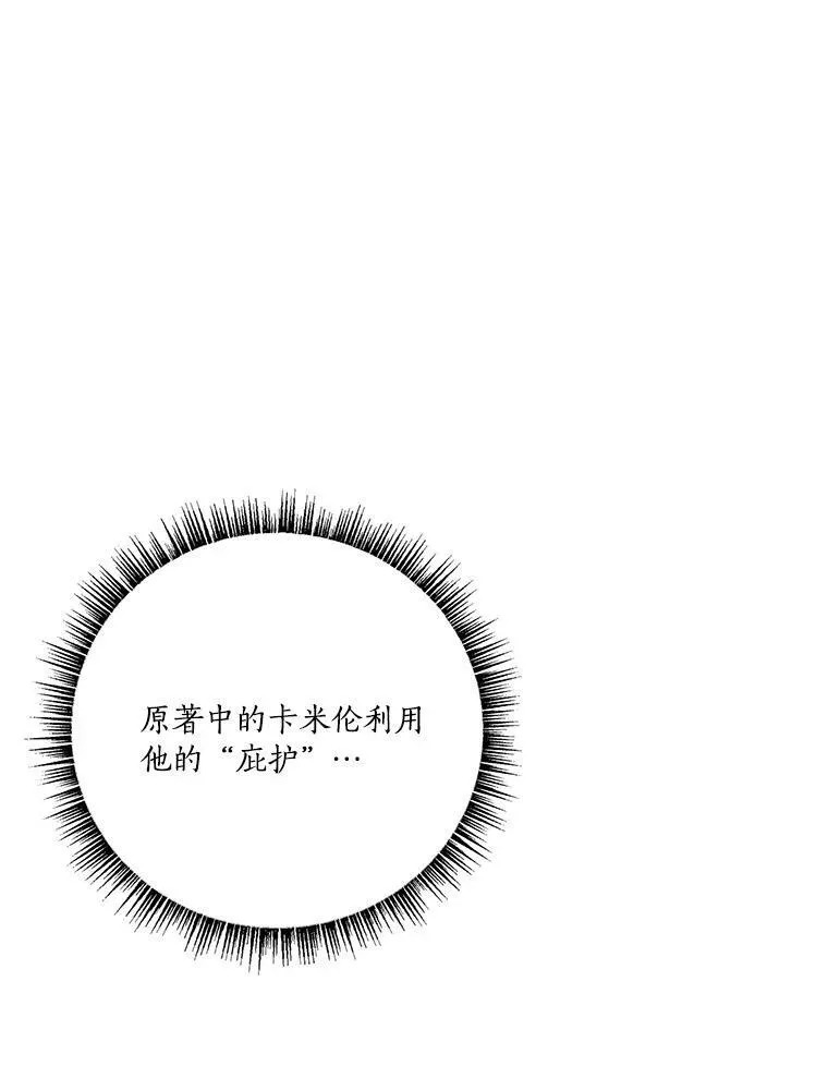 28.庇护能力 第98页