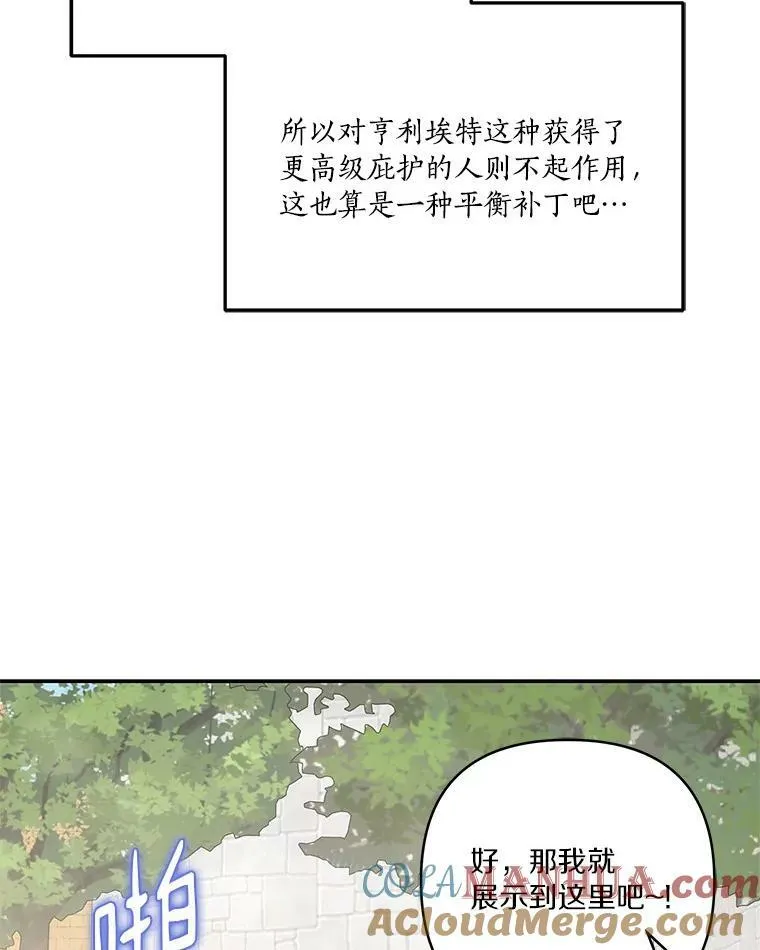 28.庇护能力 第101页