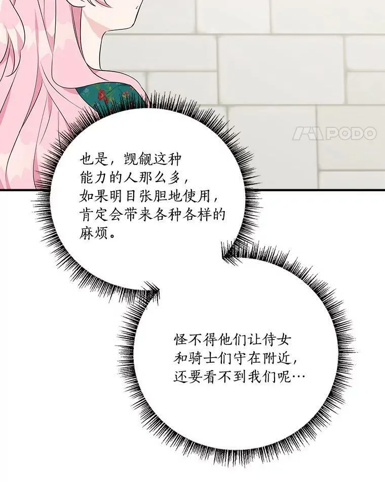 28.庇护能力 第106页