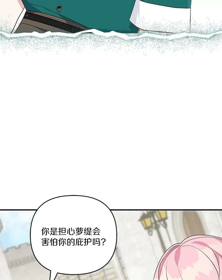 28.庇护能力 第110页