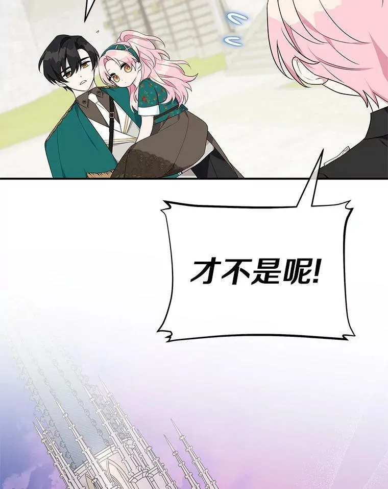 28.庇护能力 第111页