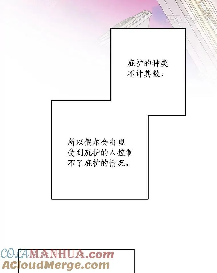 28.庇护能力 第113页
