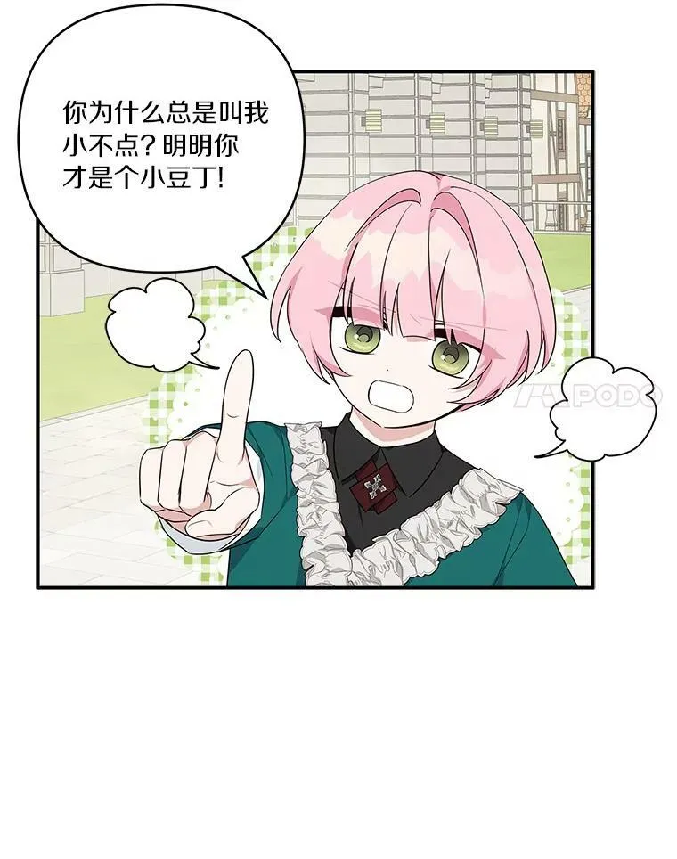 28.庇护能力 第116页