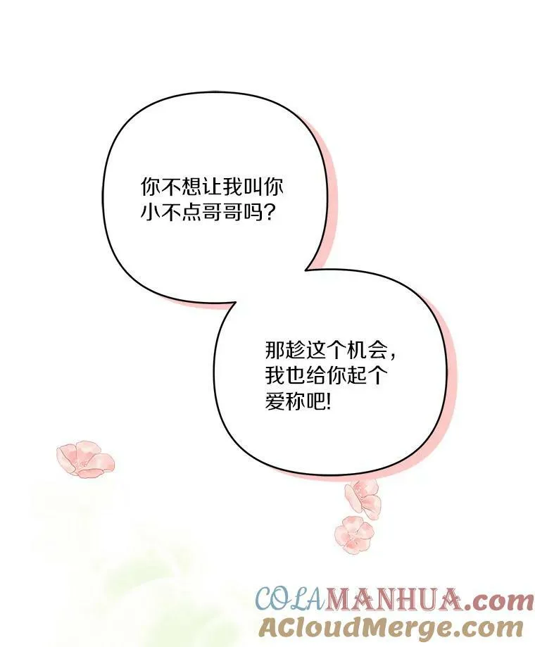 28.庇护能力 第117页