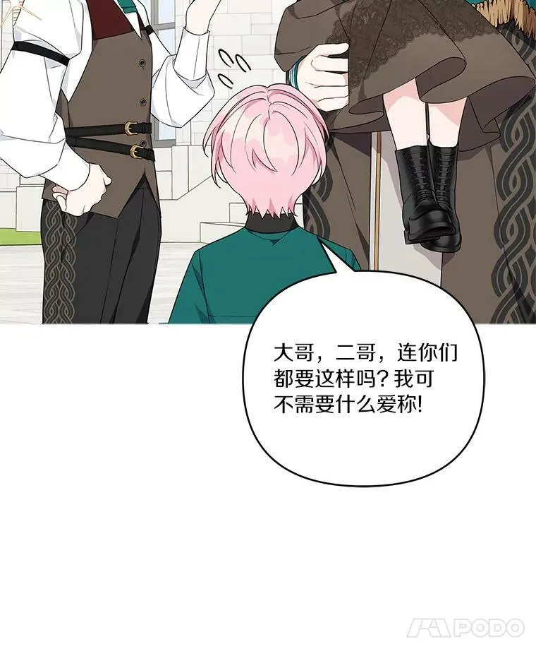 28.庇护能力 第120页