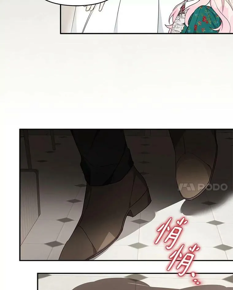 28.庇护能力 第146页