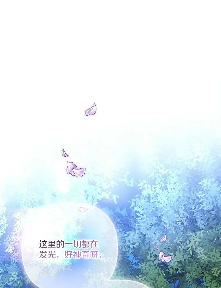 31.你喜欢的样子 第12页