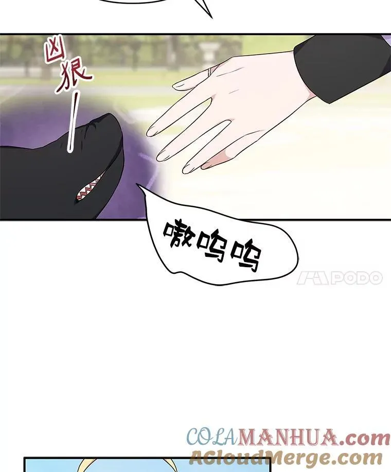 44.星之所在 第97页