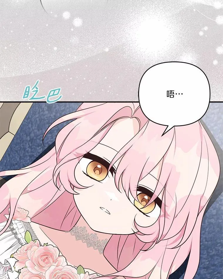 48.天空之冠的庇护 第12页