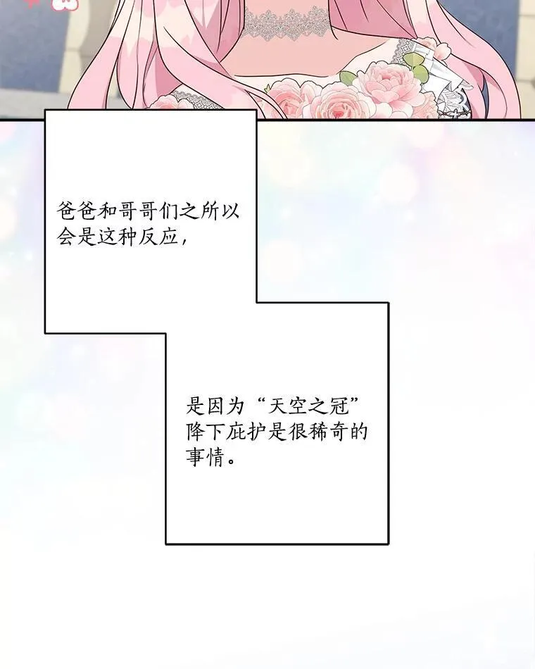 48.天空之冠的庇护 第39页
