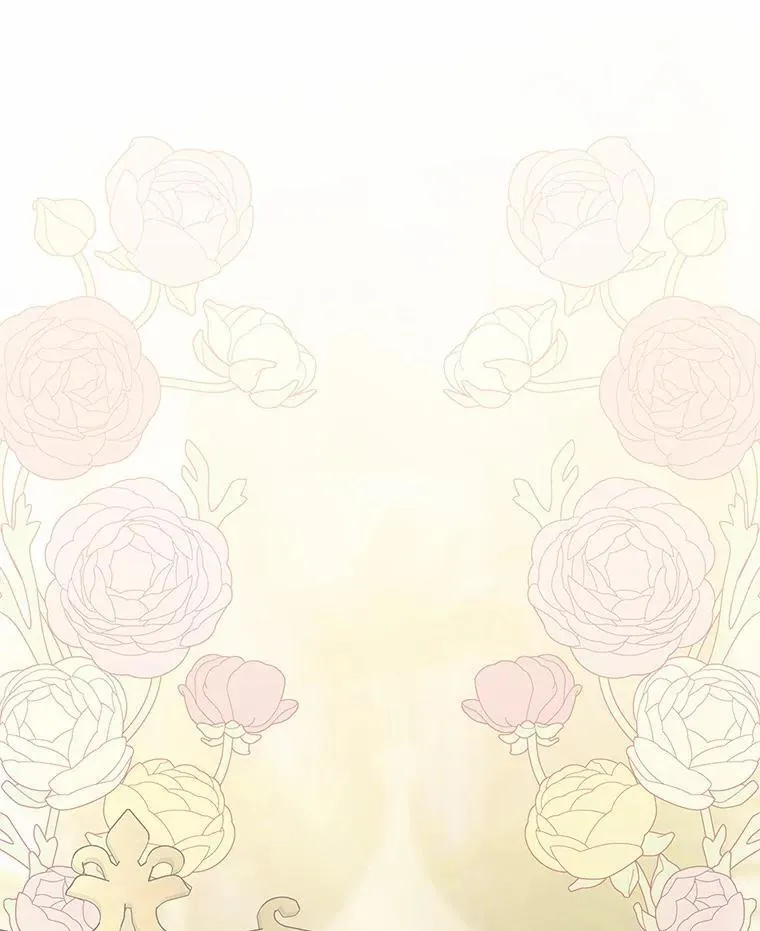 52.和平协定 第11页