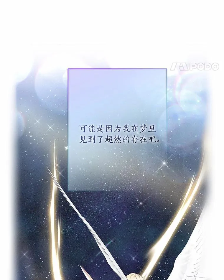 52.和平协定 第19页