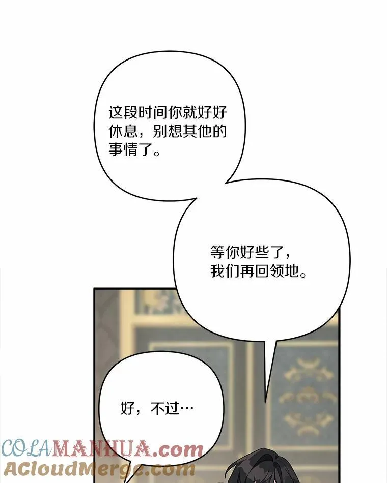 52.和平协定 第21页