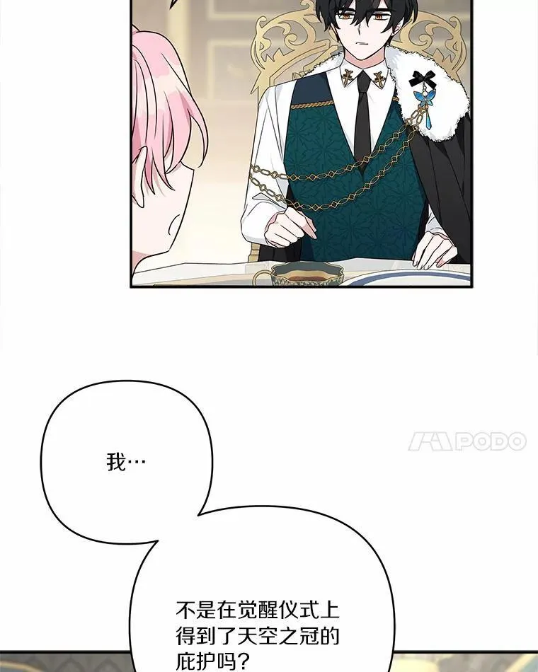 52.和平协定 第22页