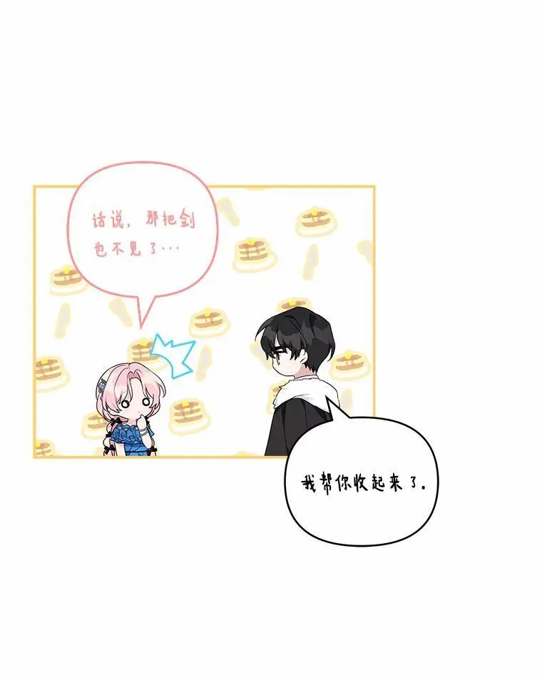52.和平协定 第27页