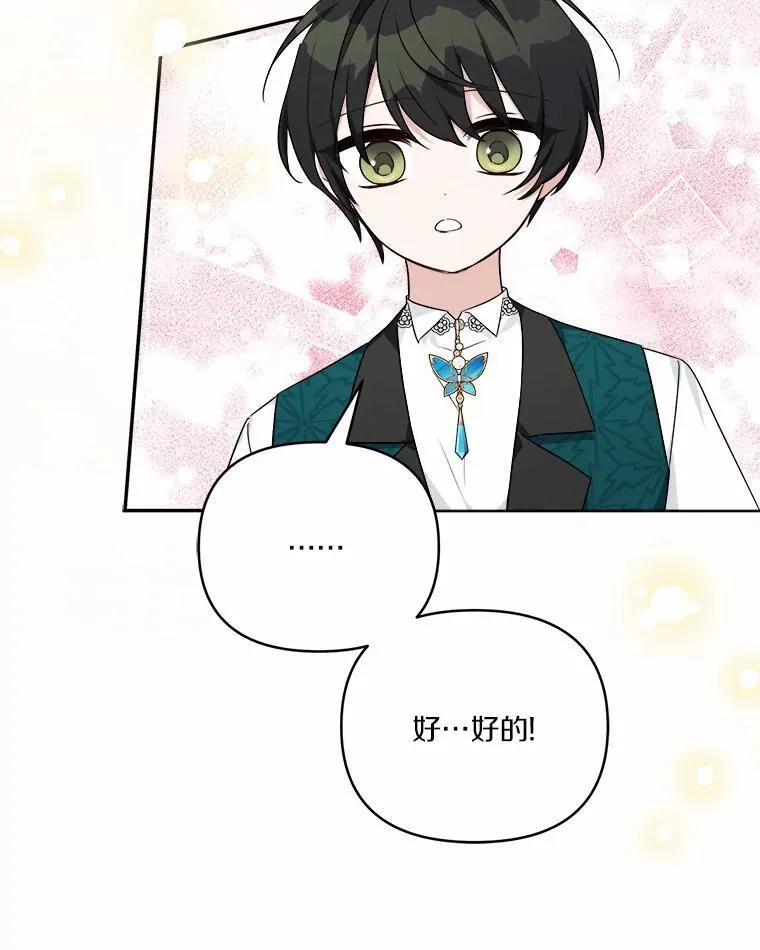 52.和平协定 第34页