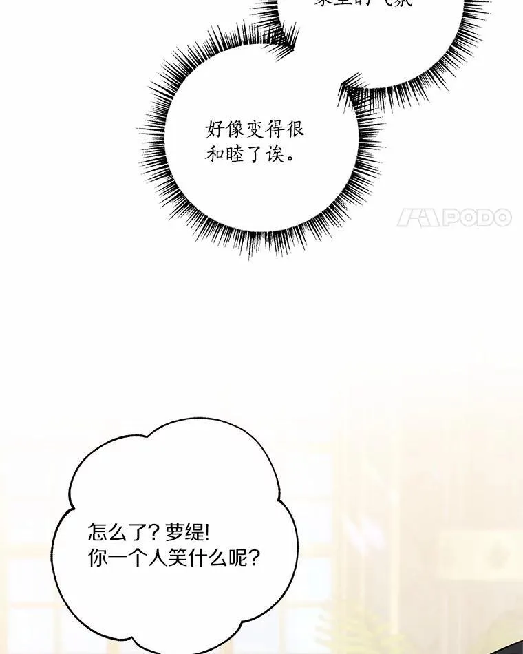 52.和平协定 第36页