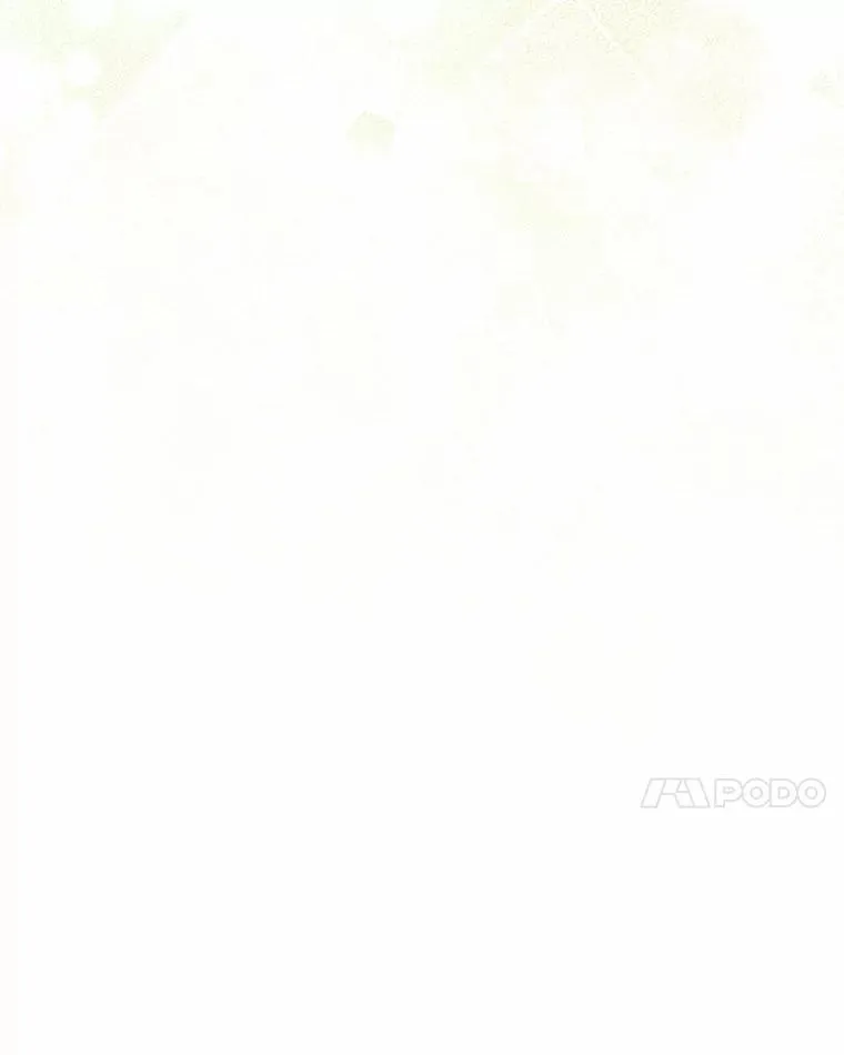 52.和平协定 第39页